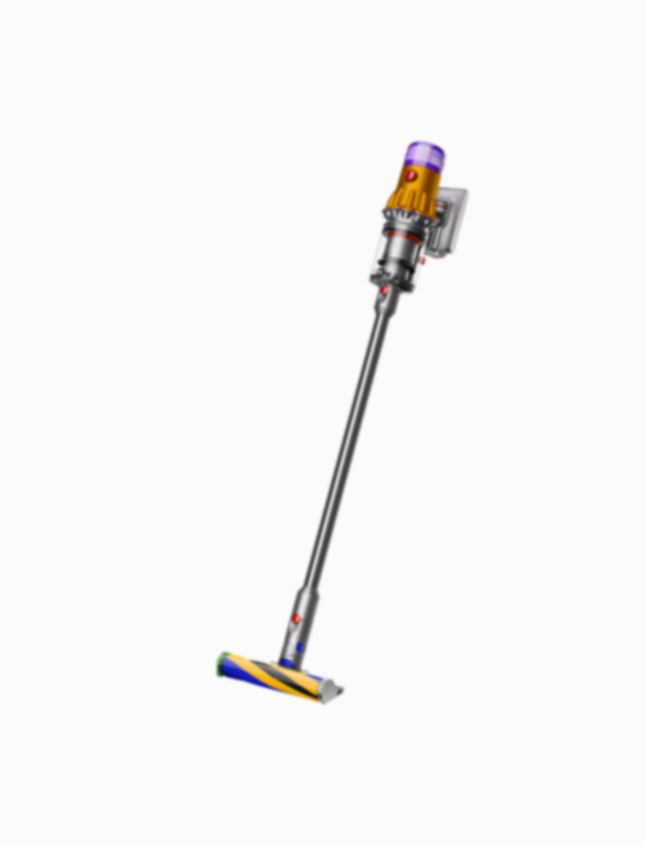 Support | Dyson V12 Detect Slim™ (SV26, SV30)