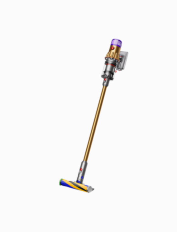 Support | Dyson V12 Detect Slim™ (SV26, SV30)